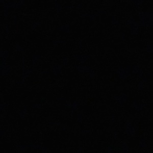 Fundraising Page: Adam Dodia